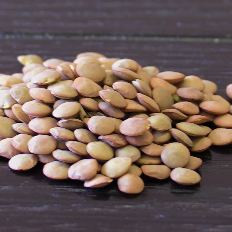 Green Lentils, Organic